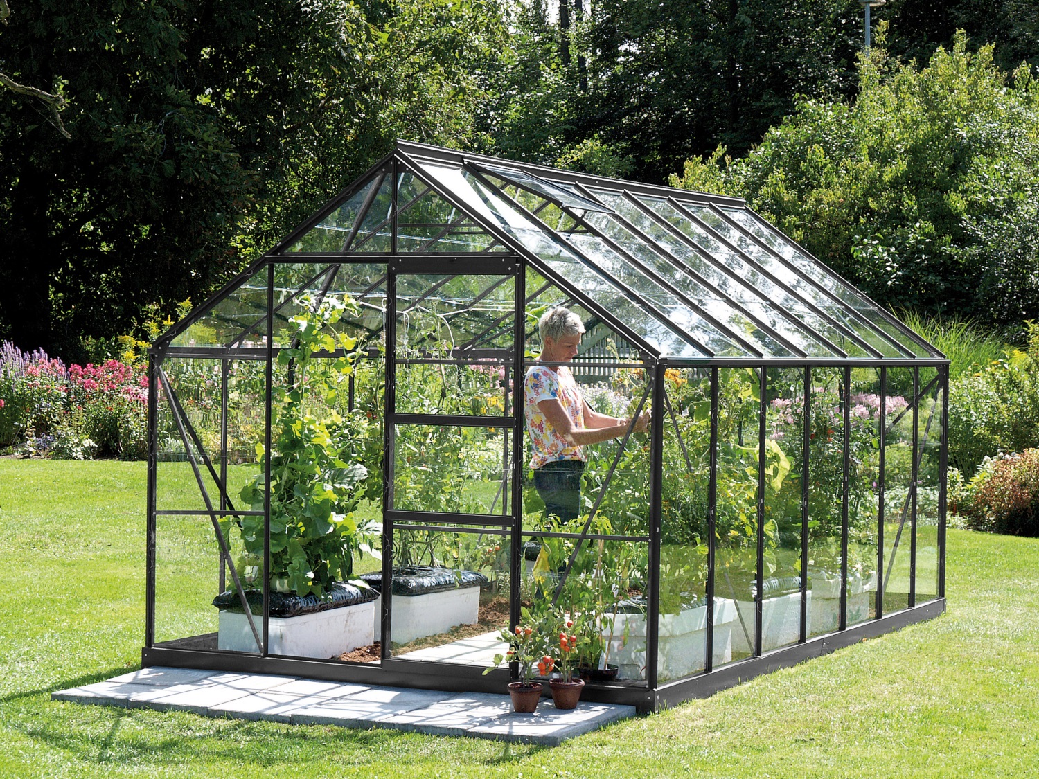 Vitavia Gewächshaus Merkur 11500 ESG 3 mm inkl. 2 Dachfenster, Schwarz