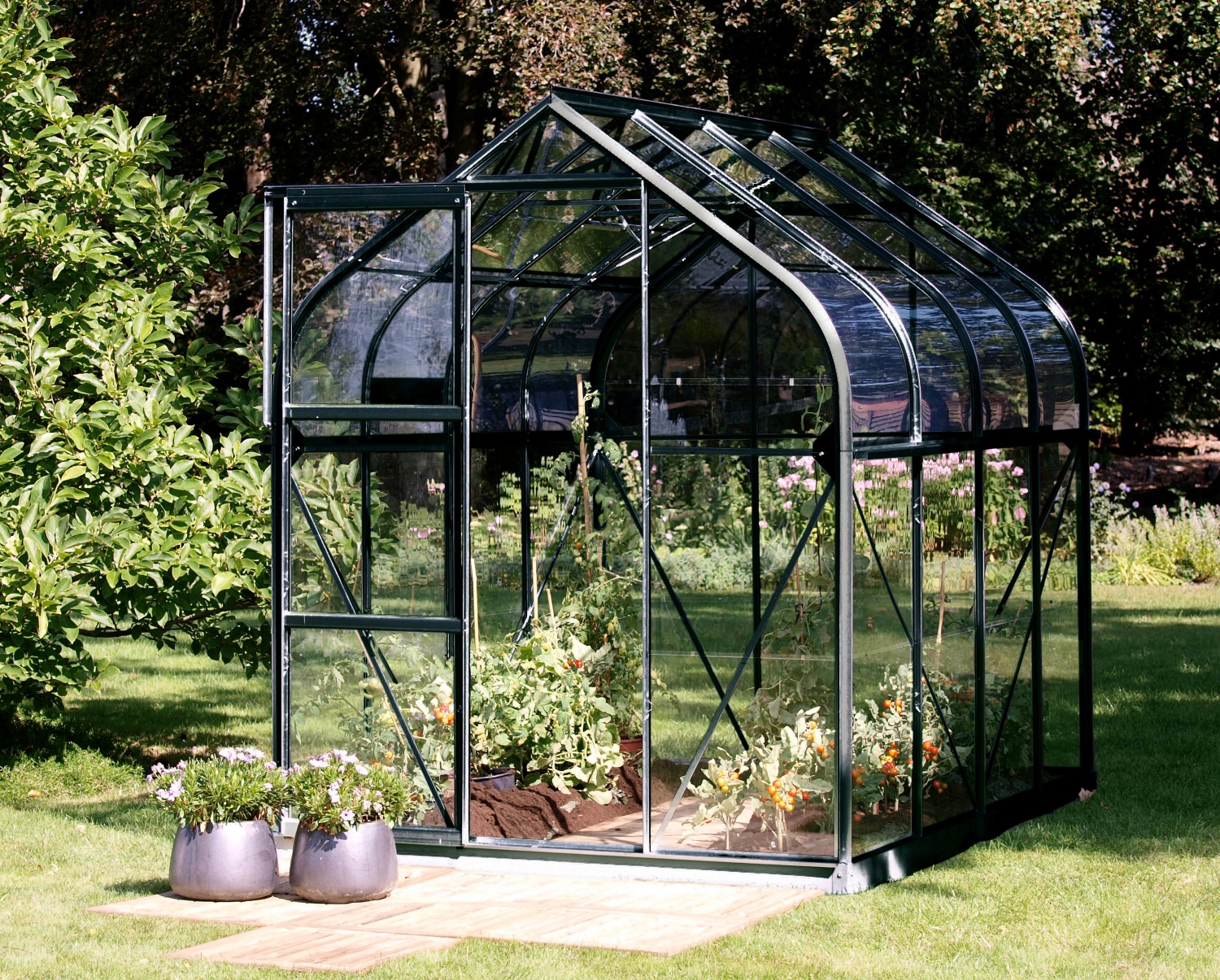 Vitavia Gewächshaus Orion 5000 ESG 3 mm inkl. 1 Dachfenster, Schwarz
