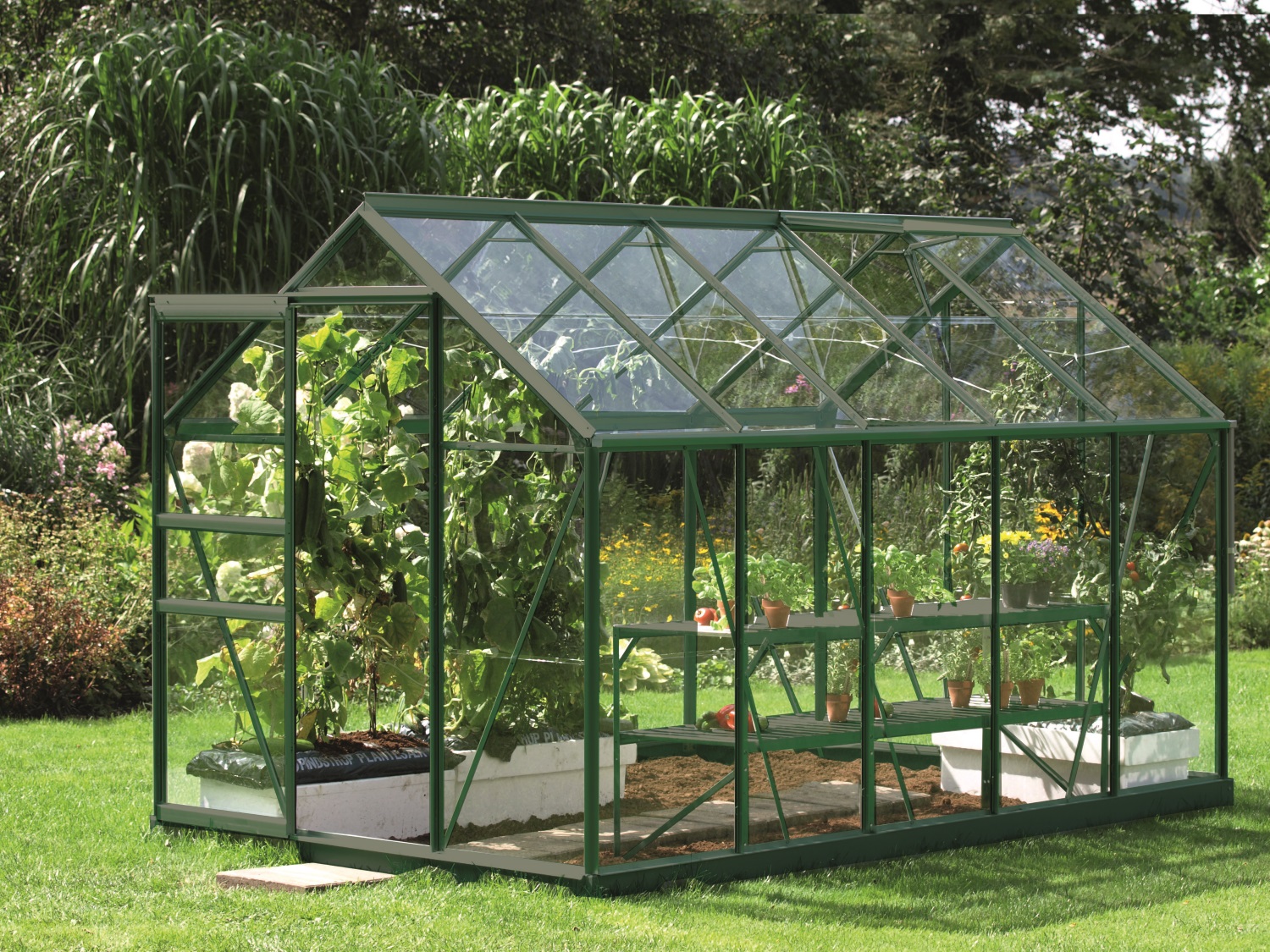 Vitavia Gewächshaus Venus 6200 ESG 3 mm inkl. 2 Dachfenster, Smaragd