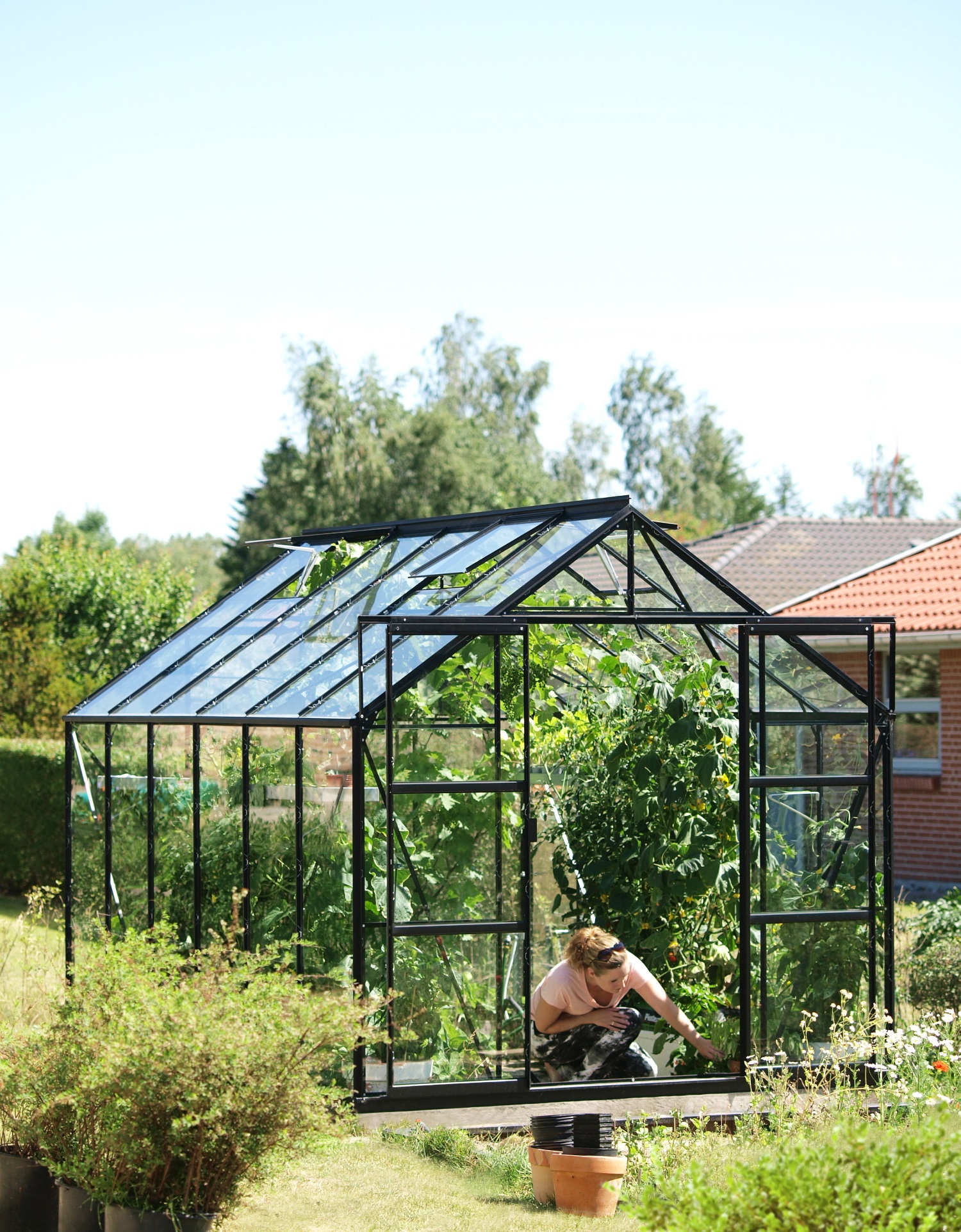 Vitavia Gewächshaus Uranus 9900 ESG 3 mm inkl. 4 Dachfenster, Schwarz