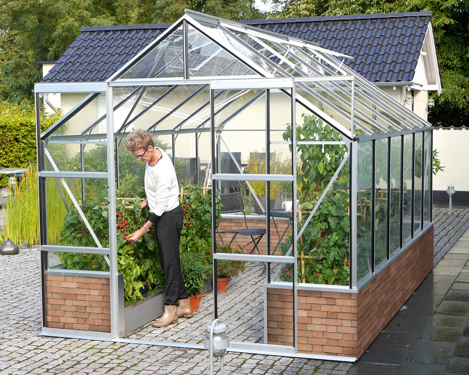 Vitavia Gewächshaus Cassandra 9900 ESG 3 mm inkl. 4 Dachfenster, Aluminium eloxiert