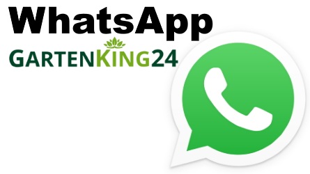banner-ekw-whatsapp-g24