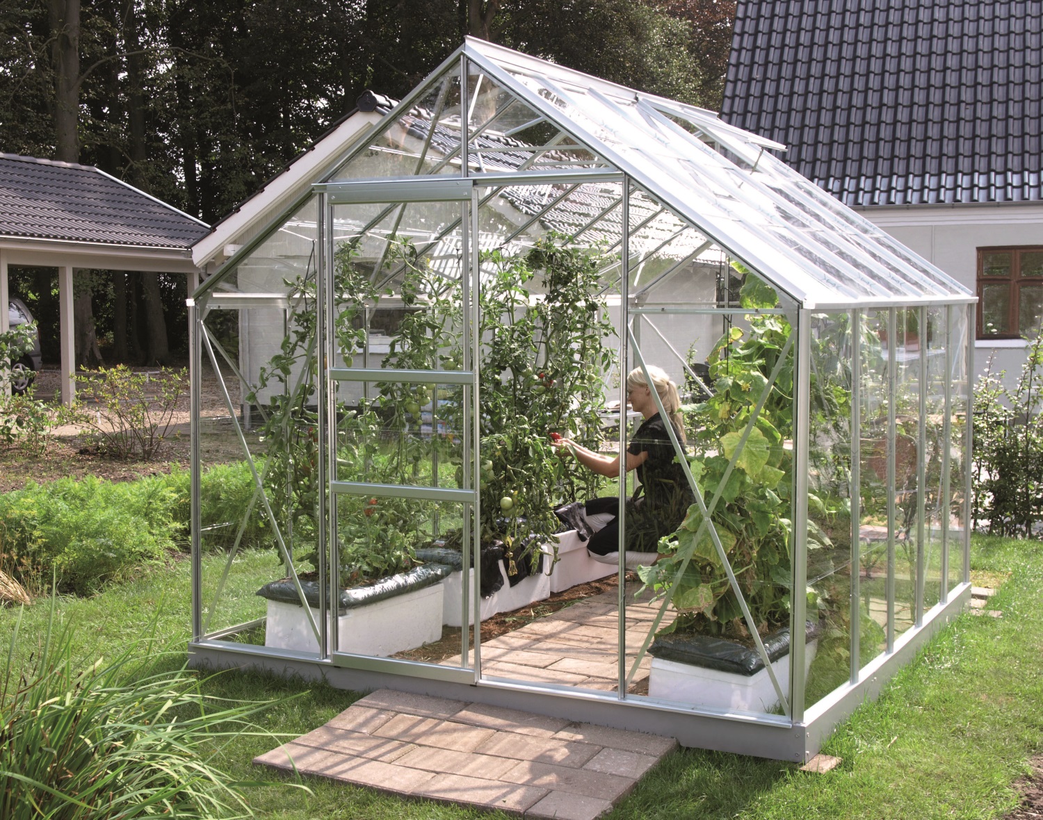 Vitavia Gewächshaus Merkur 8300 ESG 3 mm inkl. 2 Dachfenster, Aluminium eloxiert