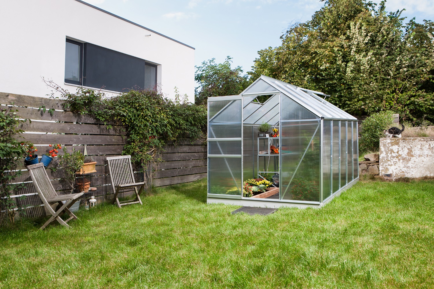 Vitavia Gewächshaus Venus 6200 Hohlkammerplatten 4 mm inkl. 2 Dachfenster, Aluminium eloxiert