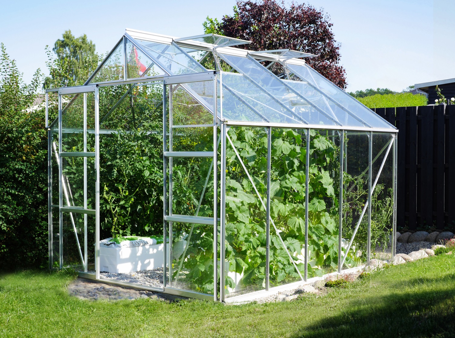 Vitavia Gewächshaus Uranus 8300 ESG 3 mm inkl. 4 Dachfenster, Aluminium eloxiert